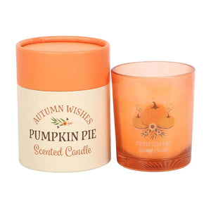 Front view of Autumn Wishes Pumpkin Pie Scented Candle with gift box packaging.