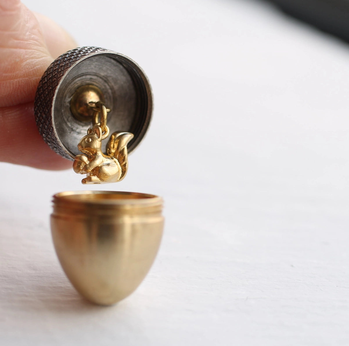 A detailed view of the acorn locket pendant with a gold bottom and oxidised silver top, showcasing the hidden squirrel charm.