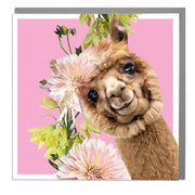 Alpaca Blank Art Card featuring illustrated alpaca with flowers on pink background.