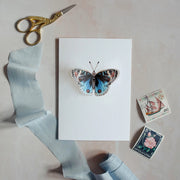Blue Pansy Butterfly Pop Out Card with envelope, flat lay.