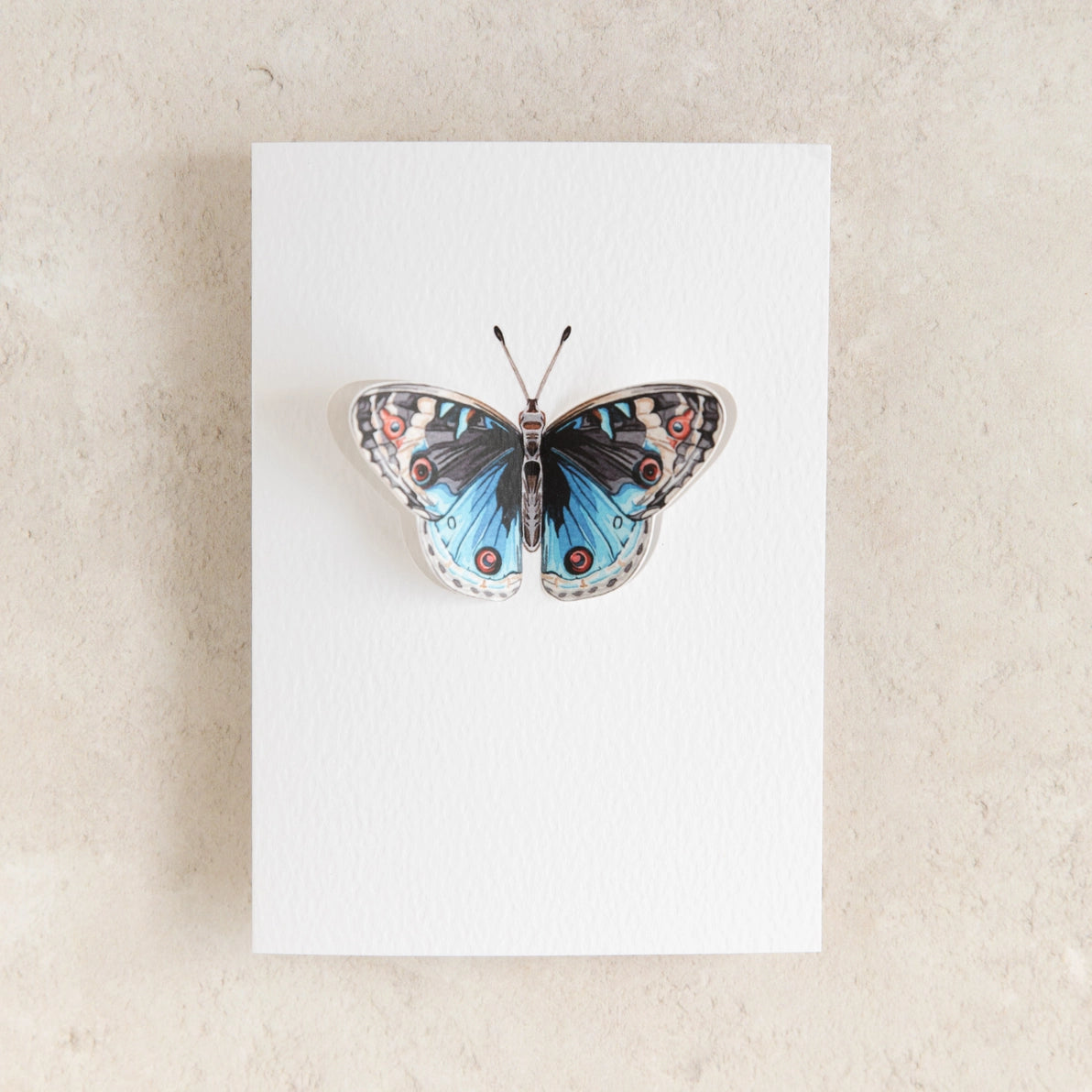 Angled view of Blue Pansy 3D butterfly card on textured stock.