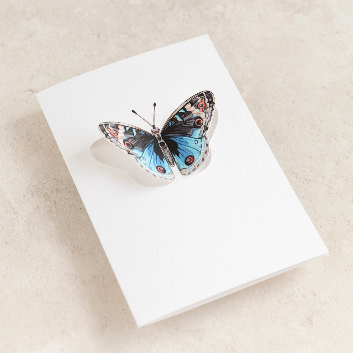 Front-facing image of Blue Pansy Butterfly card with wings raised.