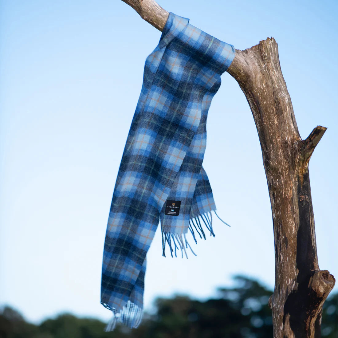 Blue tartan lambswool scarf draped over a tree branch against clear blue sky.