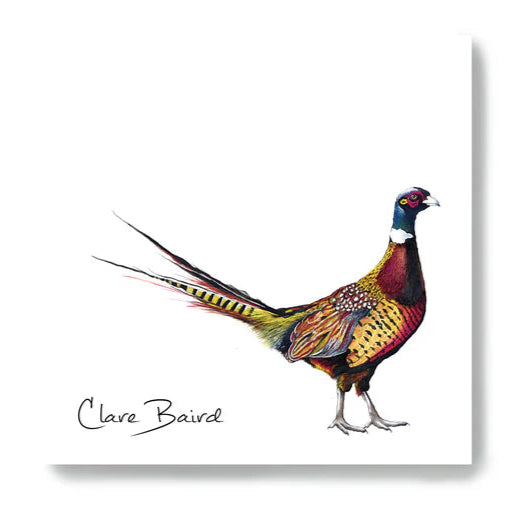 Clare Baird Pheasant Sticky Notes – colourful pheasant design sticky note pad, Scottish wildlife stationery.