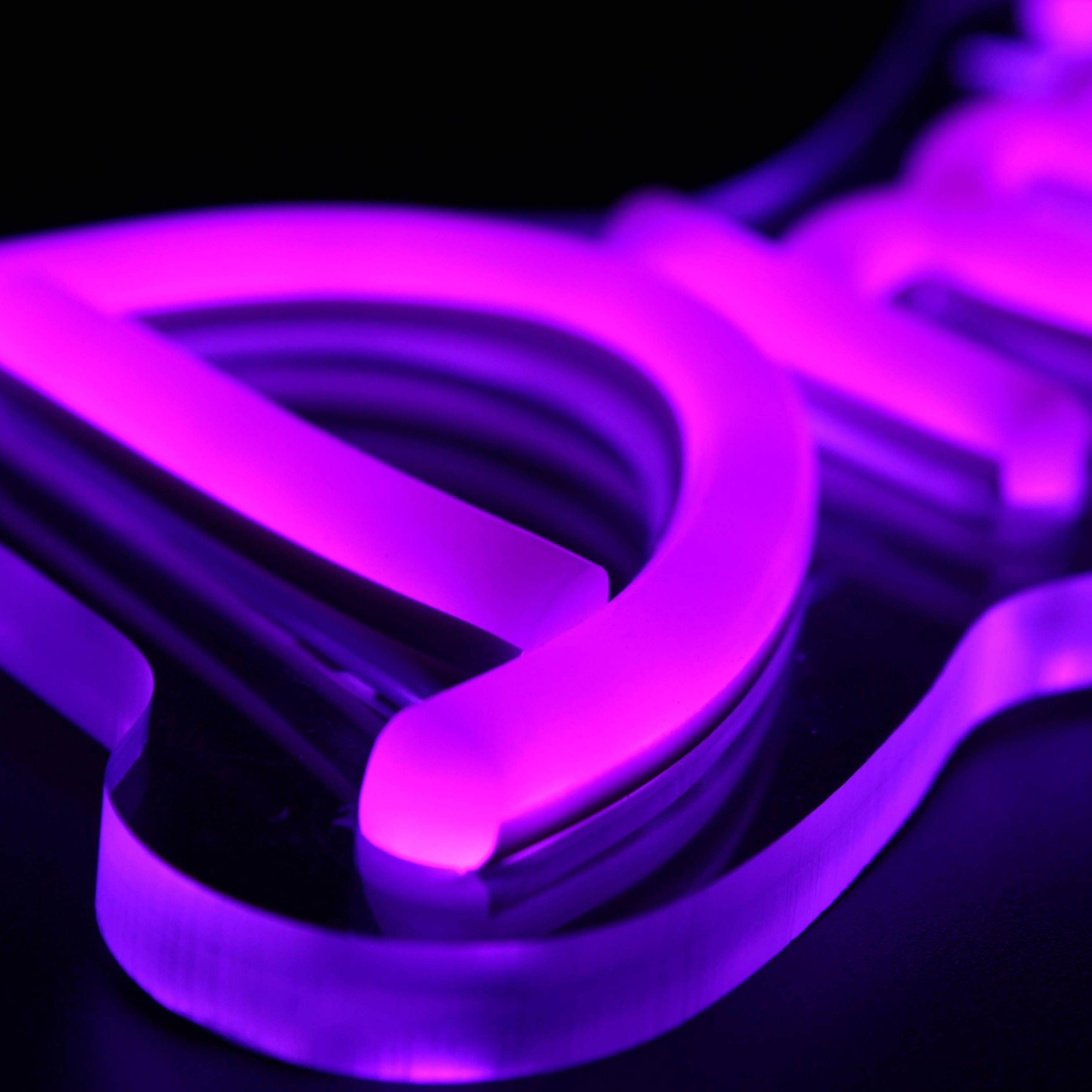 Close-up of glowing LED tubing from the Drop Dead Gorgeous sign.