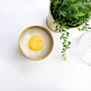 Vanilla Egg Candle styled on a white surface next to green potted plants and a glass vase, showing the candle as part of a modern home setting.