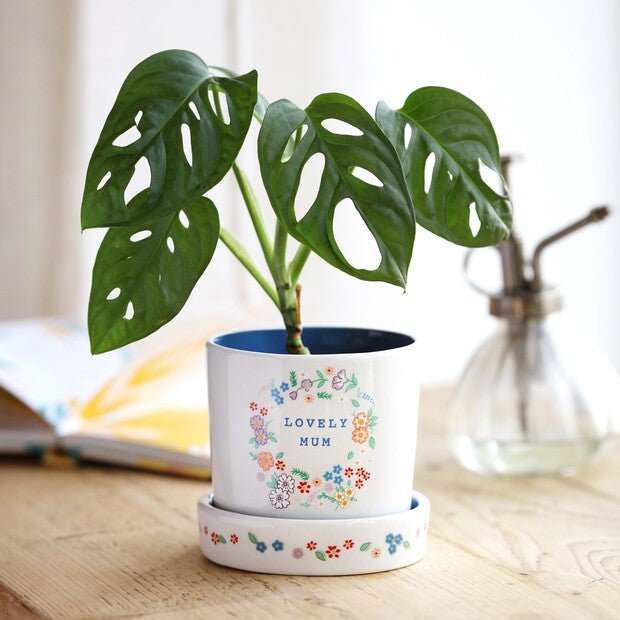 Floral Mum Planter and Tray with a green monstera plant, placed on a wooden table.