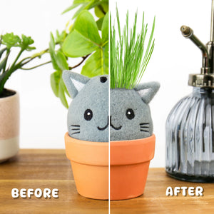 Before and after of Grow Pals cat grow kit showing hair growth.