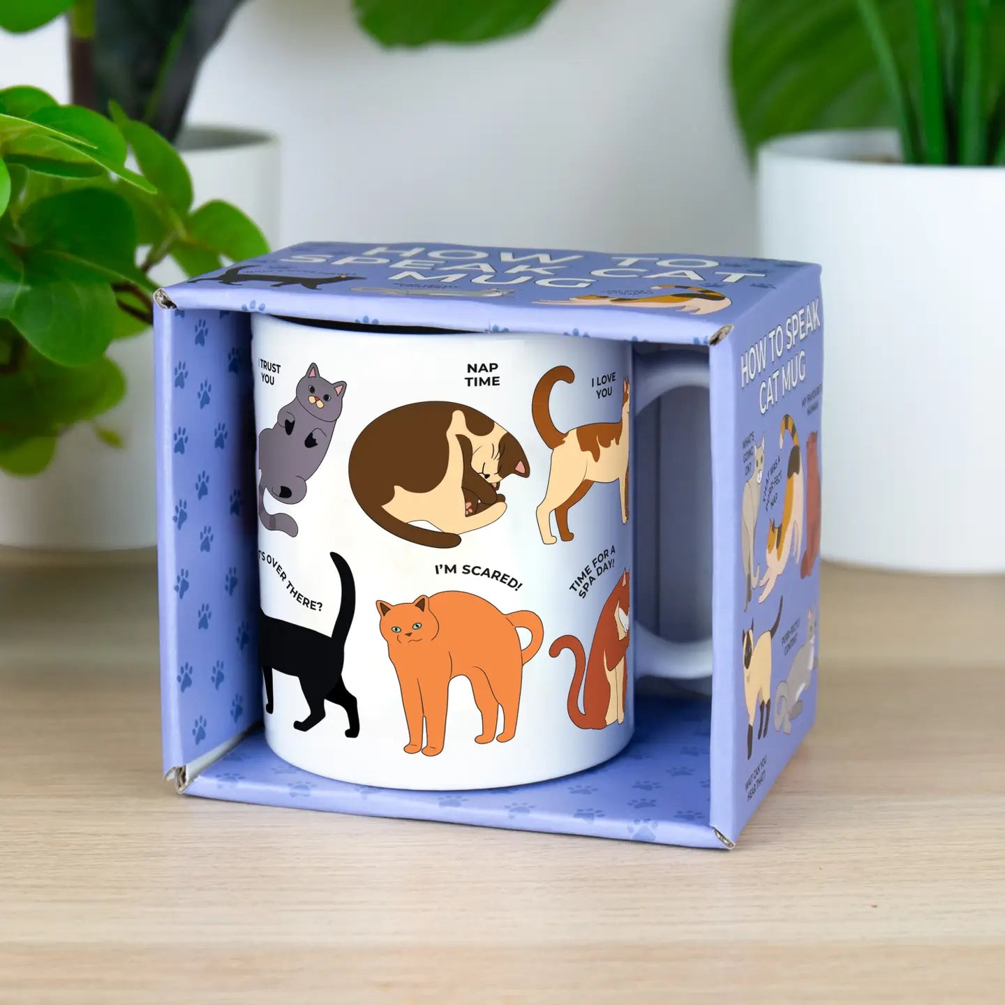 How to Speak Cat Mug in gift box with illustrated cat behaviours.