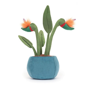 A back view of the Jellycat Amuseable Bird of Paradise plush, highlighting its realistic design with detailed leaves and a sturdy stem. The teal suedette pot and fluffy cocoa soil add a playful touch to the plush.