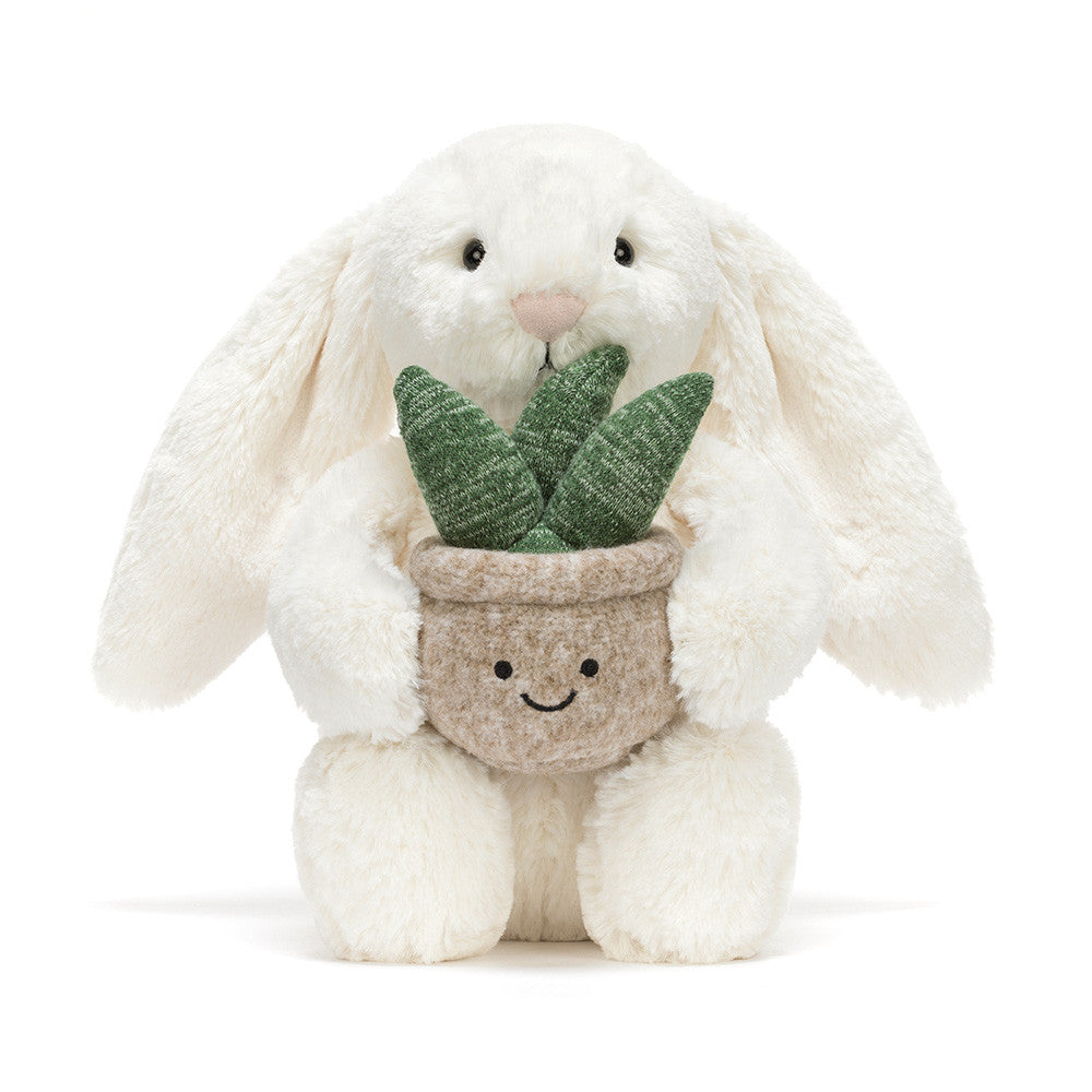 Cream Bashful Bunny holding smiley succulent plant front view close-up