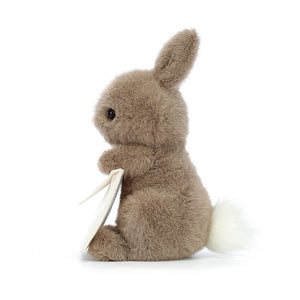 A unique way to say "I love you"! The Jellycat Messenger Bunny  holds a secret message in a suedette envelope, with soft fur and adorable details.