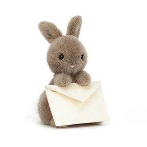 Deliver hugs and messages! The Jellycat Messenger Bunny features a card inside a suedette envelope, ready to spread love with a cuddly bunny friend.