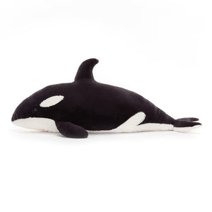 Side View: Make a splash with Ollivander the Orca! This cuddly Jellycat plush boasts a realistic orca design with a plush black and cream body, adorable corduroy tummy, and a majestic dorsal fin. 
