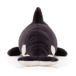 Back View:  Get ready to ride the waves of imagination with Ollivander the Orca! This playful Jellycat plush features a luxuriously soft coat and a swishy split tail.