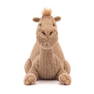 Face-to-face with sunshine: Richie the Dromedary from Jellycat boasts adorable embroidered features and a warm smile. A huggable pal for endless fun.