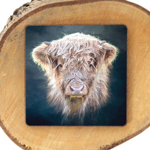 Little Highlander Highland Cow fridge magnet featuring a close-up portrait of a shaggy Highland cow on a dark blue background, attached to a wooden surface.