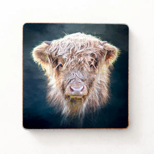 Square Little Highlander fridge magnet with a detailed Highland cow print, made from MDF with a laminated finish, displayed on a white background.