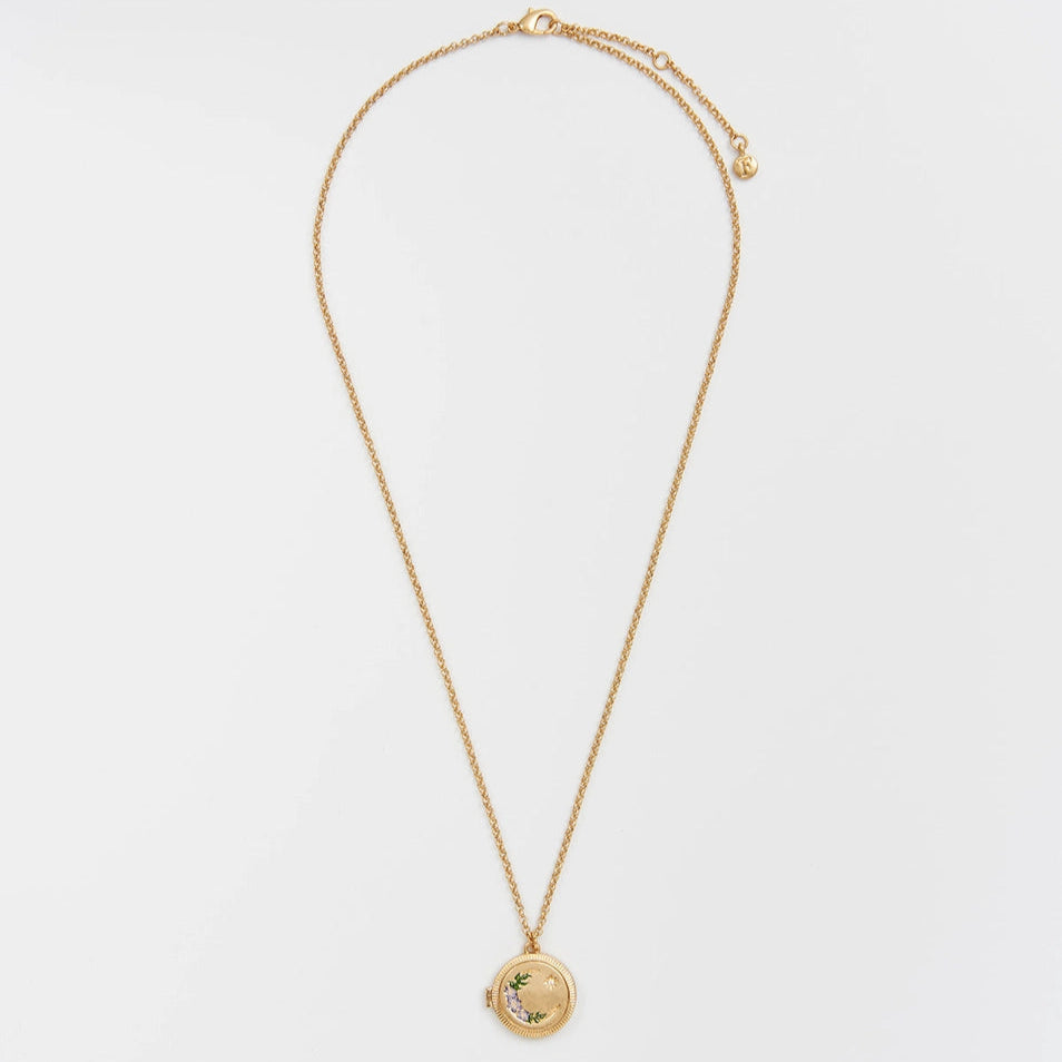 Full chain view of Nightshade Moon Round Gold Locket Necklace laid flat.