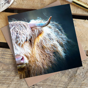 Peekaboo Highland Cow Blank Greetings Card displayed on a rustic wooden surface.