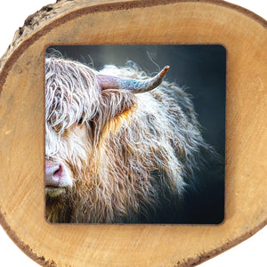 Peekaboo Highland Cow Fridge Magnet displayed on a rustic wooden surface.