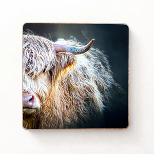 Close-up of the Peekaboo Highland Cow Fridge Magnet with rich, detailed artwork.