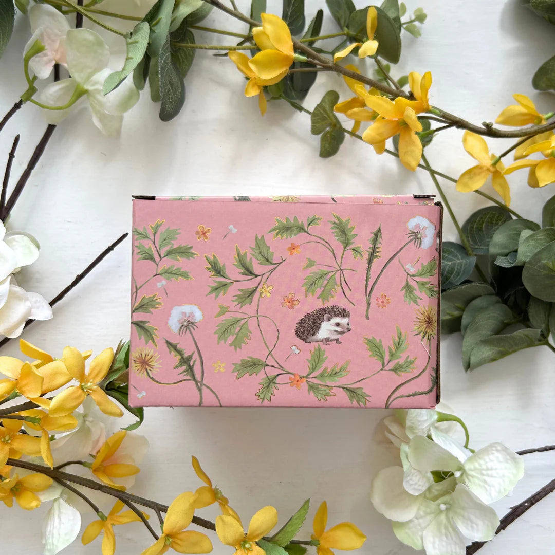 Illustrated pink gift box with floral and hedgehog design for Secret Garden Cup.
