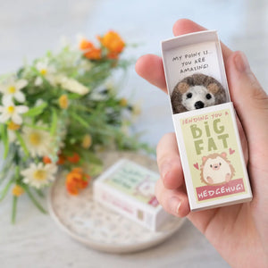 Close-up of Sending You A Hedgehug in A Matchbox, featuring a cute hedgehog illustration on the cover.