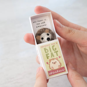 Hands holding an open matchbox revealing a felt hedgehog with the message “My point is… you’re amazing!”