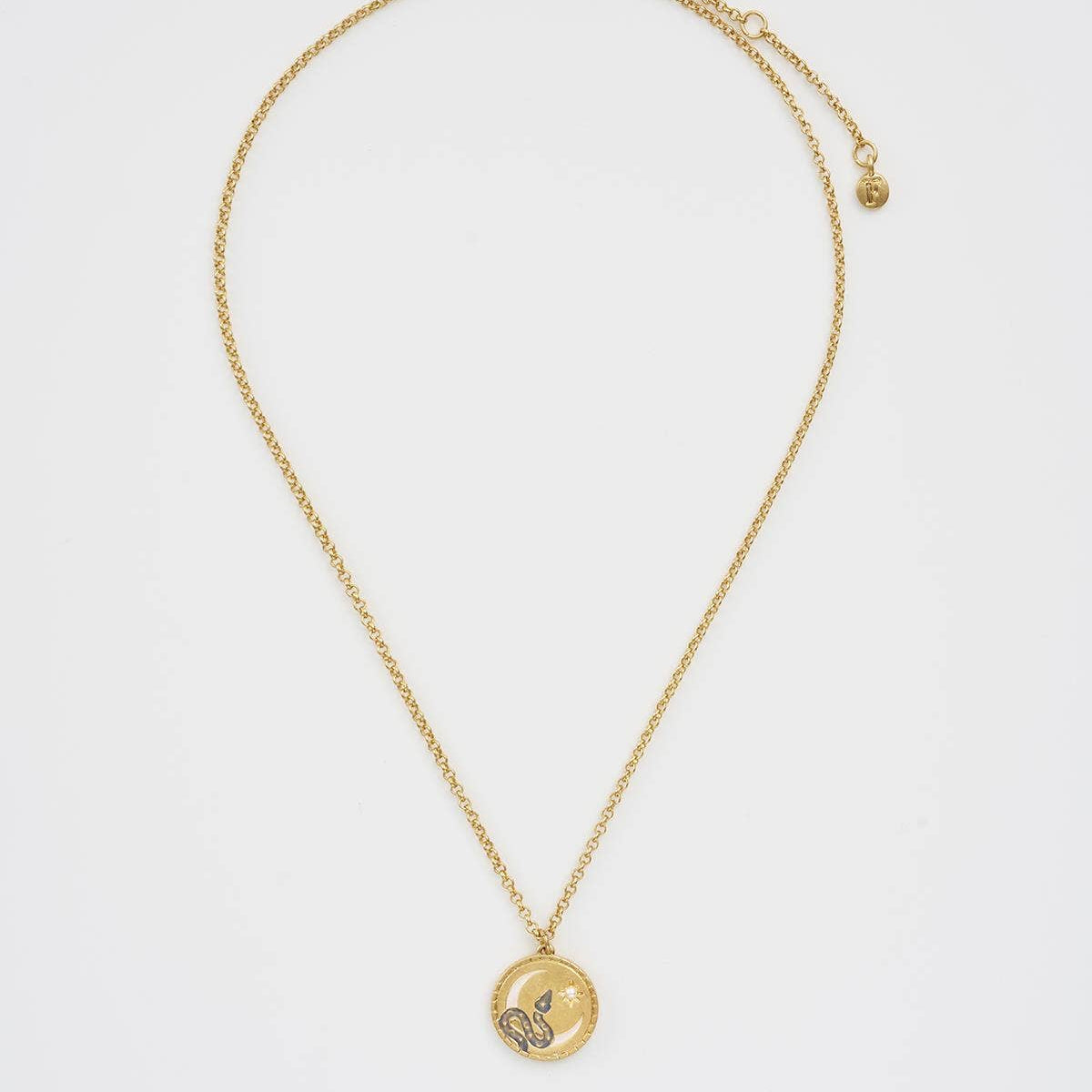 Full view of Snake Spirit Guide Necklace with circular gold snake pendant on delicate adjustable chain.