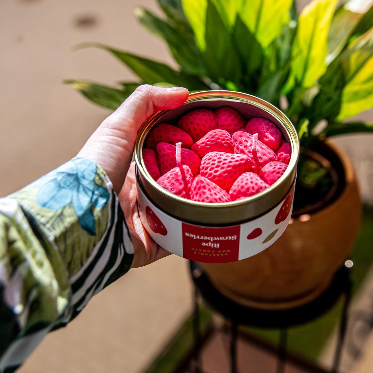 Hand holding the opened Strawberry Scented CandleCan outside in natural sunlight, showing vivid pink wax strawberries inside the tin.