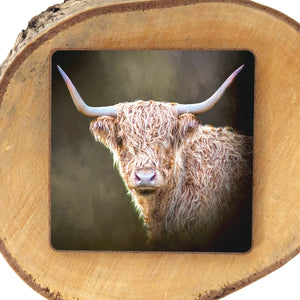 Twilight Highland Cow Fridge Magnet displayed on a wooden surface, featuring a close-up of a Highland cow with curved horns and rich golden fur