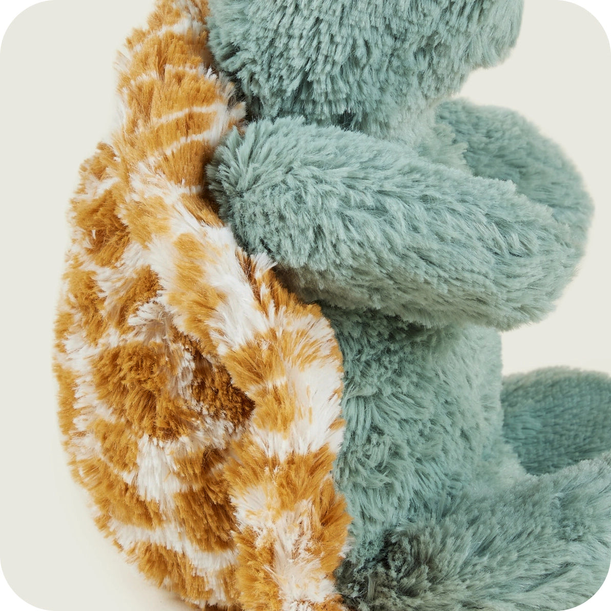 Close-up of Warmies Baby Turtle shell and soft green fur detail.