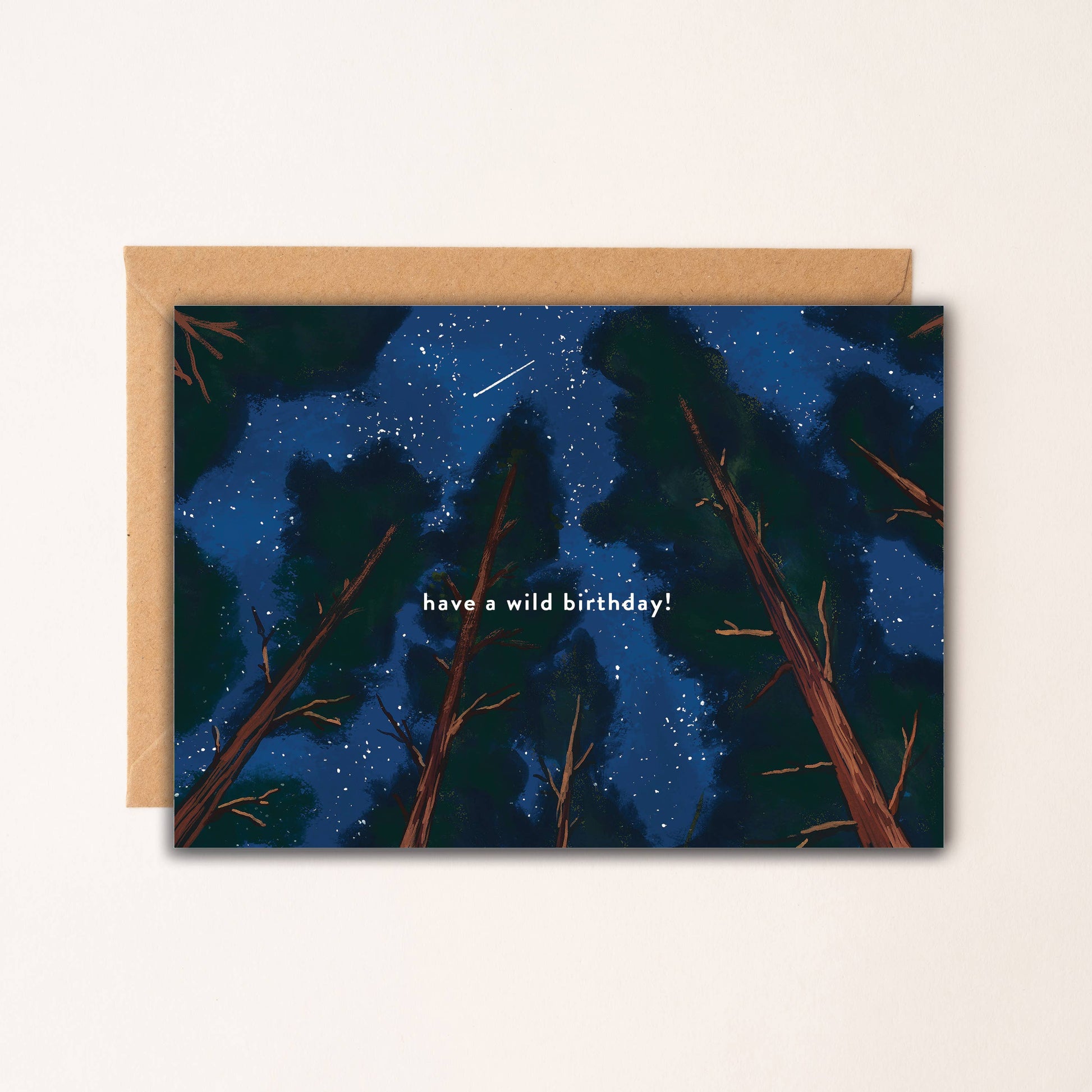 Wild Birthday Forest card with kraft envelope showing Northern Lights design