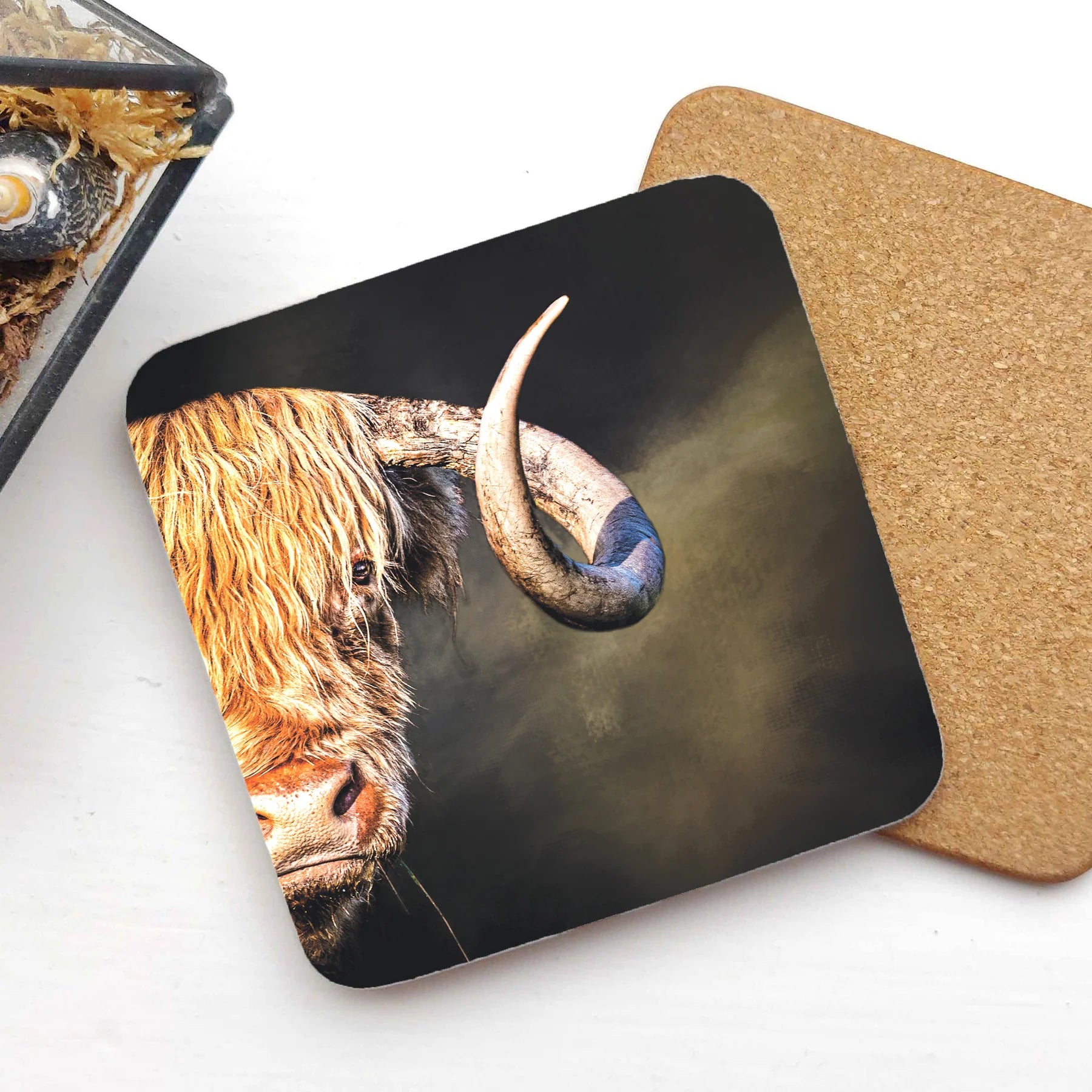 A Curly Gaze Highland Cow coaster with a detailed illustration of a Highland cow’s face, featuring a large curved horn, placed on a white surface with a cork backing visible.