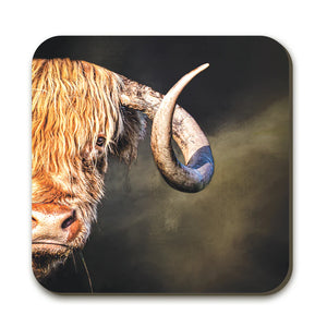 A close-up of the Curly Gaze Highland Cow coaster, showcasing the intricate artwork of a Highland cow with a dark background, printed on a square hardboard coaster with rounded edges.