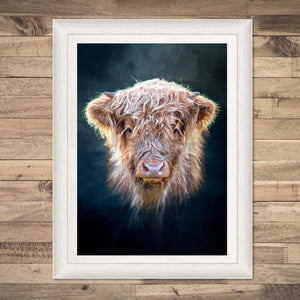 Framed Little Highlander Highland Cow Print by Gary Cox, featuring a close-up of a fluffy Highland cow against a dark background.