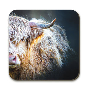 A detailed view of the Peekaboo Highland Cow Coaster, showcasing the high-quality print of a Highland cow on a dark background. The coaster has rounded edges and a protective matt laminate finish.