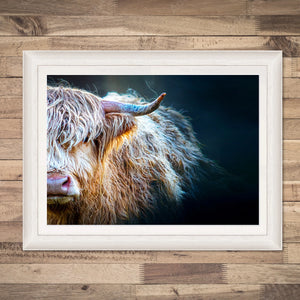 Framed Peekaboo Highland Cow Print in a solid wood frame with a raised mount, displayed against a wooden backdrop.