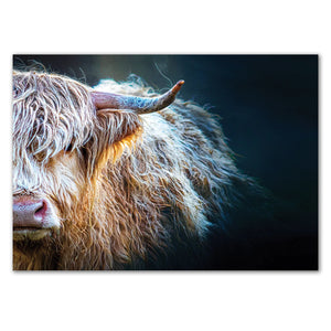 Close-up of the Peekaboo Highland Cow Print featuring a detailed and vibrant Highland cow on high-quality paper.