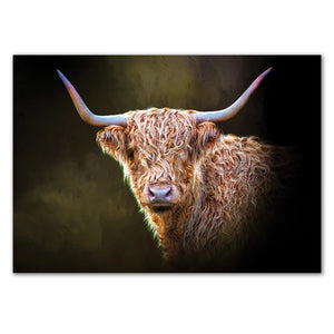 Unframed Twilight Highland Cow Print – A high-quality unframed print of a Highland cow with long, shaggy fur and curved horns against a dark background.