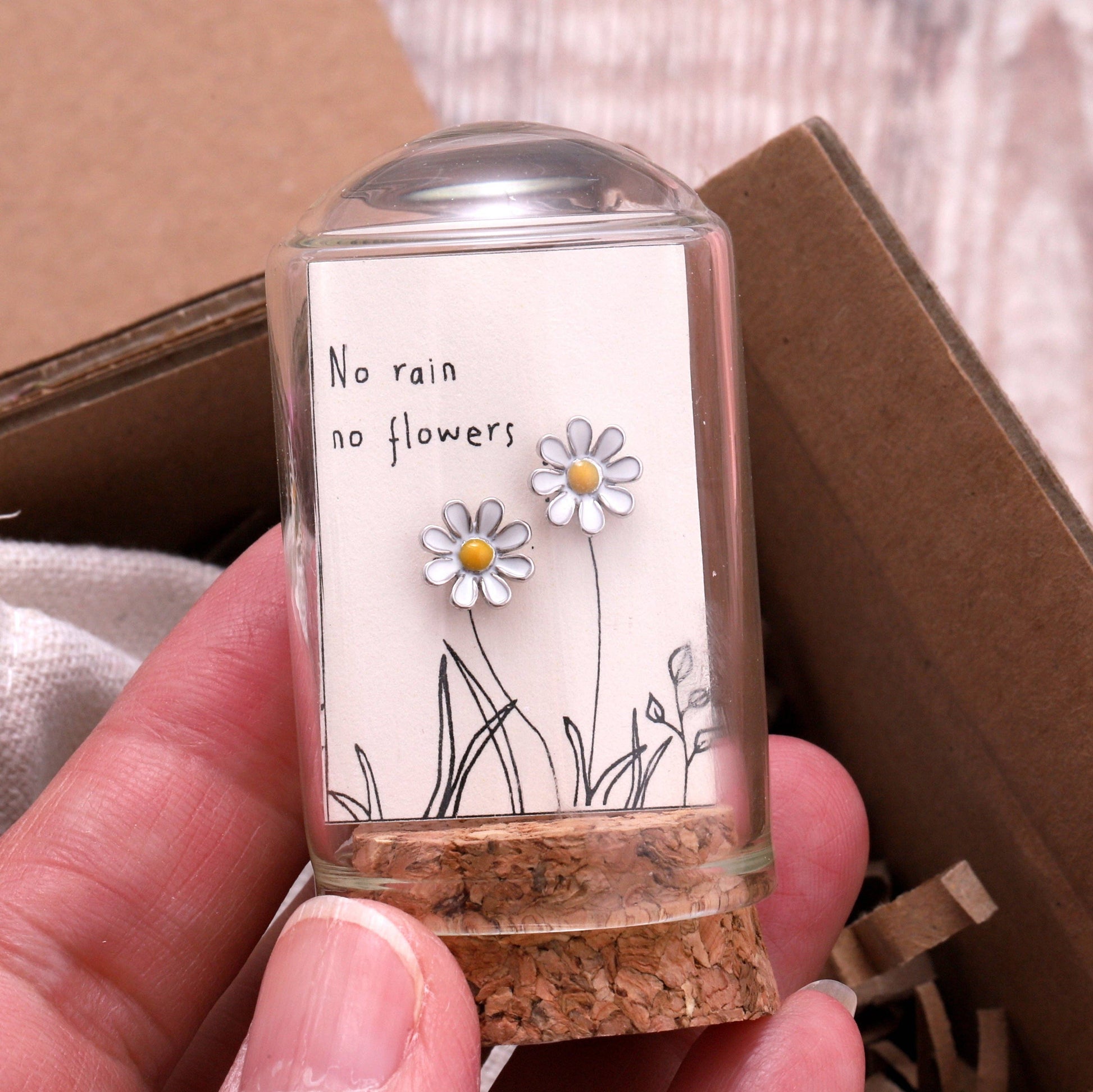 Silver enamel daisy earrings on message card inside glass terrarium held in hand