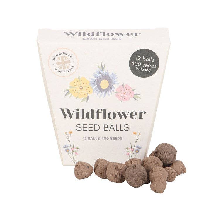 Blooming Lovely wildflower seed ball box showing floral packaging design