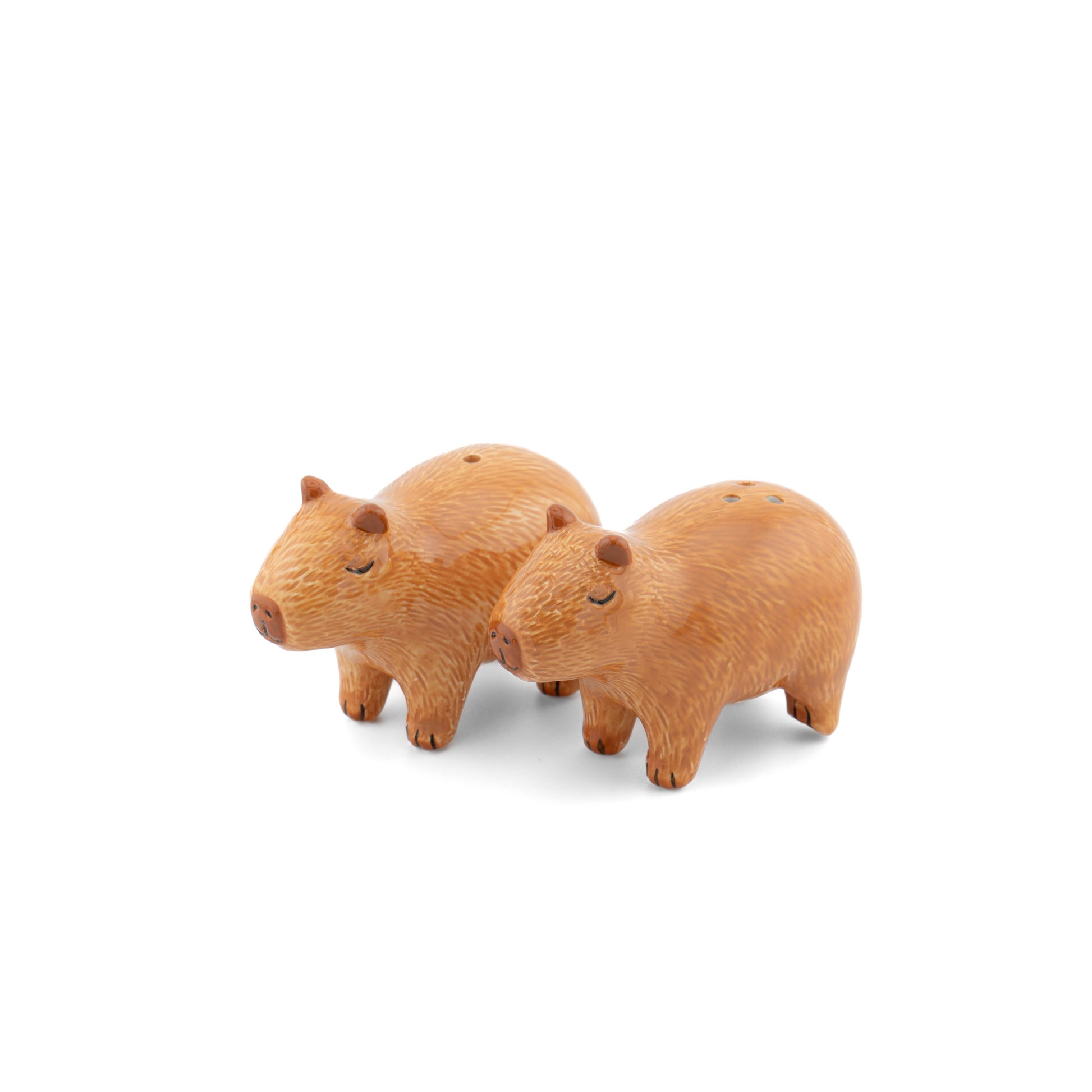 Pair of brown ceramic capybara salt and pepper shakers