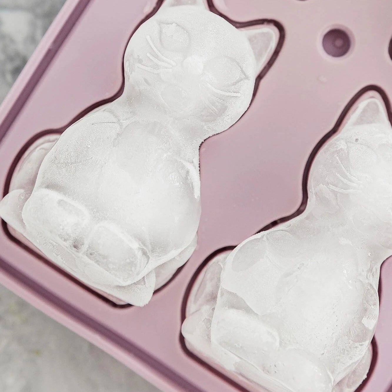 Close-up of detailed cat-shaped ice cubes in silicone tray