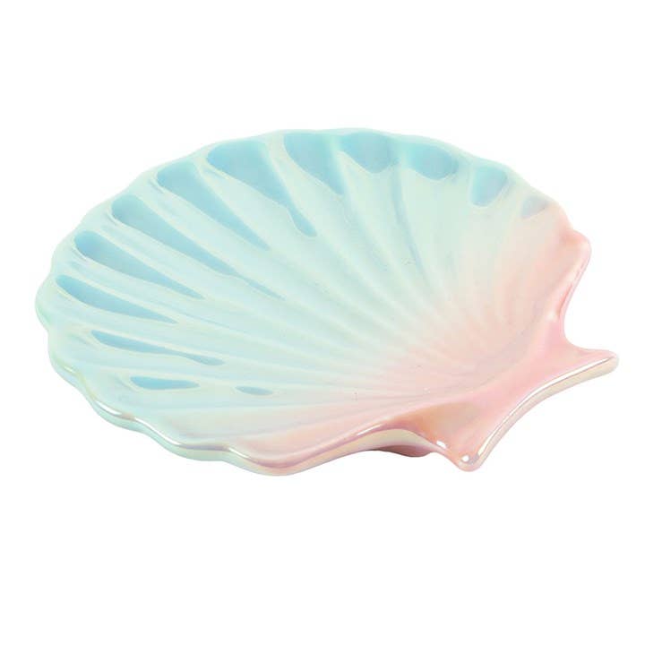 Coastal trinket dish scallop shell shape from above