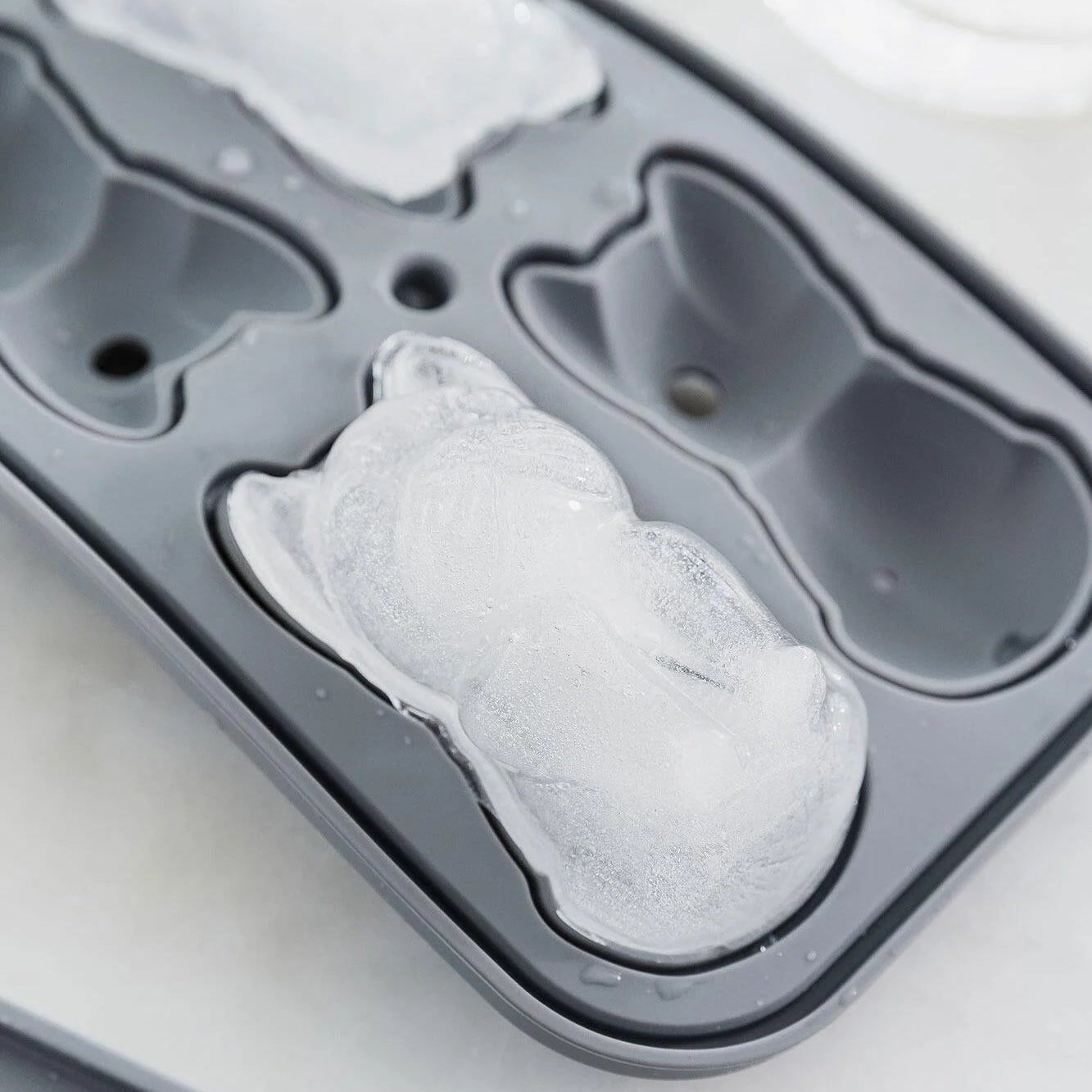 Close-up of Frenchie-shaped ice cube in mould
