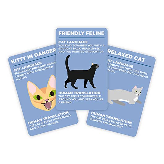 How To Speak Cat sample cards showing friendly feline and relaxed cat translations
