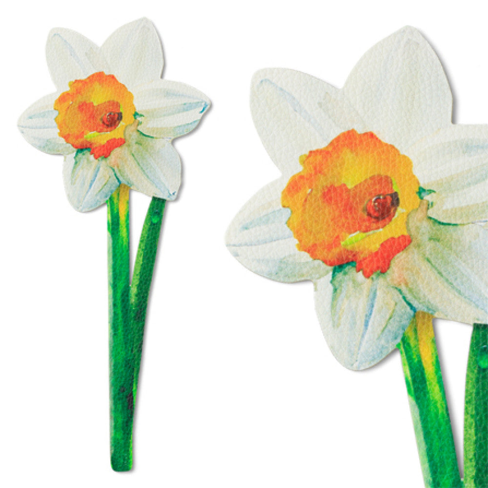 Daffodil flower bookmark front view and close-up on white background