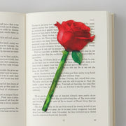 Painted red rose flower bookmark lying on open book page